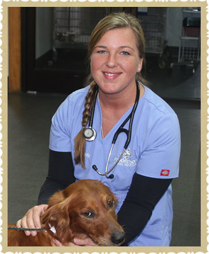 About Anderson Animal Hospital