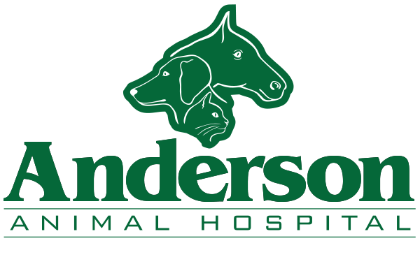 Anderson Animal Hospital